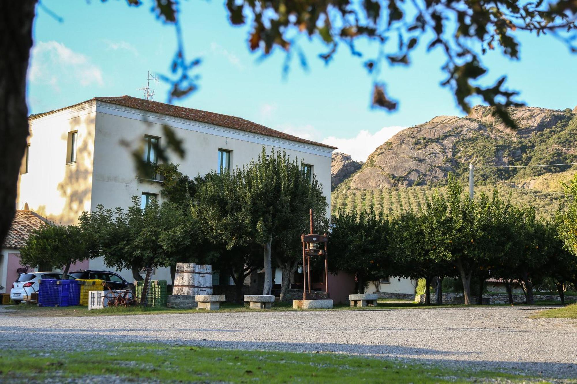 Barone Gr Macri Agriturismo Modi เจราเช ภายนอก รูปภาพ