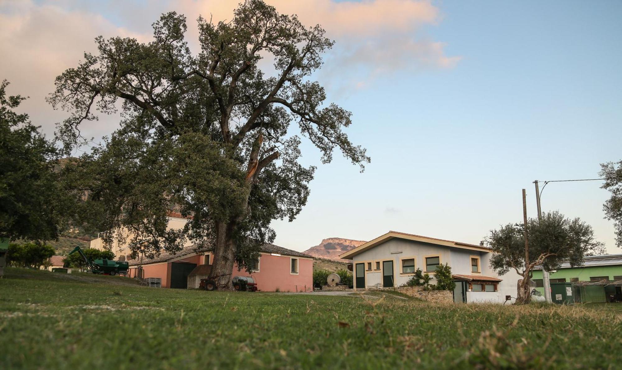 Barone Gr Macri Agriturismo Modi เจราเช ภายนอก รูปภาพ